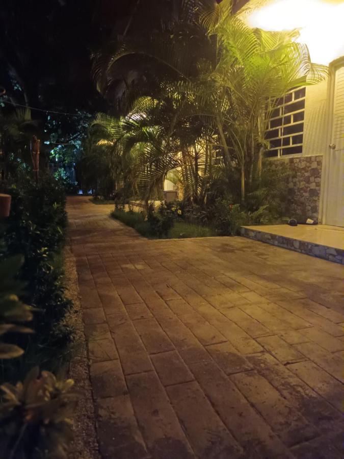 Hostal Cuyagua Palomino Eksteriør billede